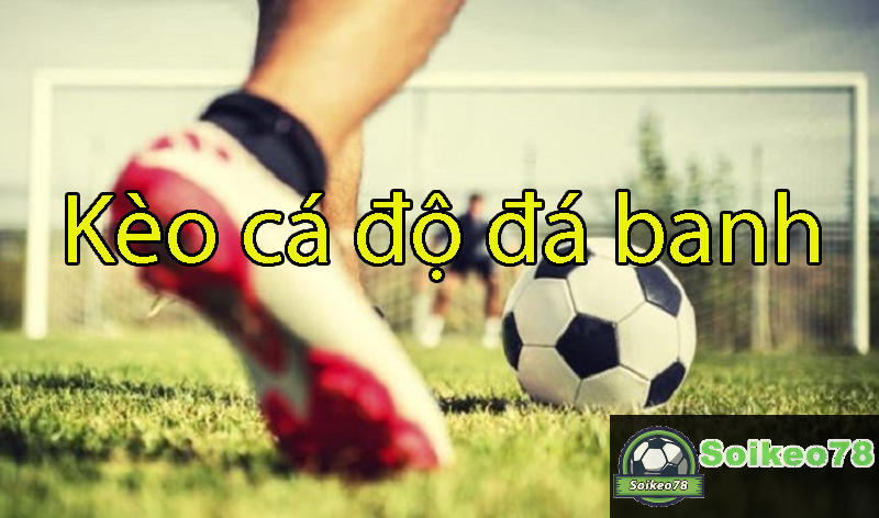 Vì sao bắt kèo cá độ đá banh vẫn gặp nhiều sự rủi ro?