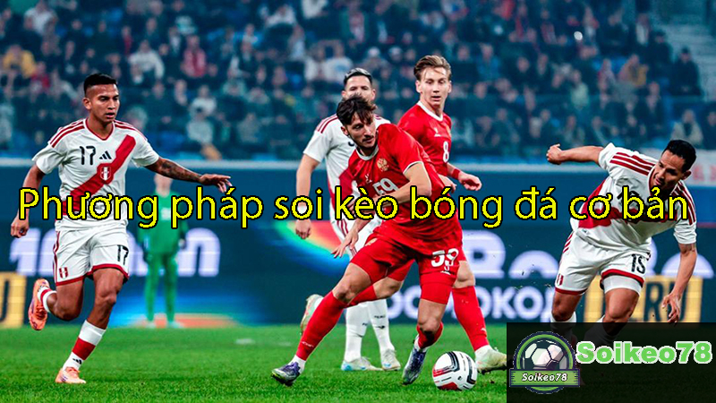 Phương pháp soi kèo bóng đá cơ bản dành cho người mới